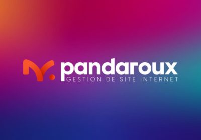 Pourquoi profiter des services de Pandaroux pour la création de votre site internet ?
