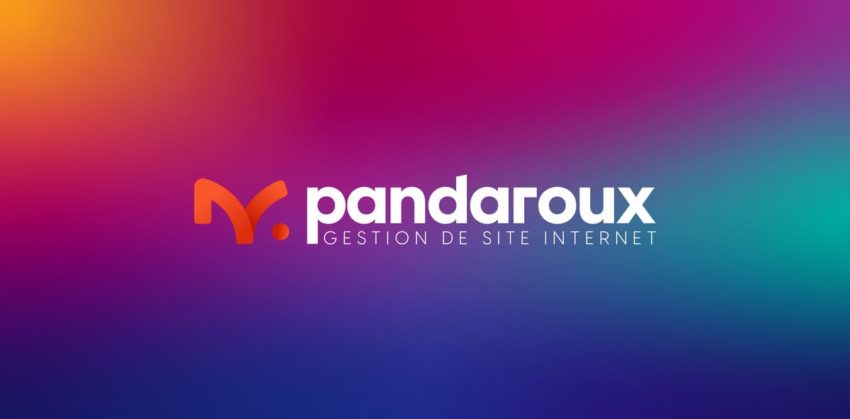 Pourquoi profiter des services de Pandaroux pour la création de votre site internet ?
