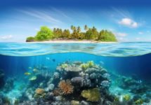 Qu’est-ce que la ligne de flottaison d’un site web ?